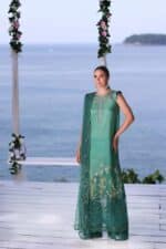 Noor by Saadia Asad Luxe PrintKari Unstitched Lawn 3Pc Pakistan Inspire - Image 4