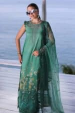 Noor by Saadia Asad Luxe PrintKari Unstitched Lawn 3Pc Pakistan Inspire - Image 5